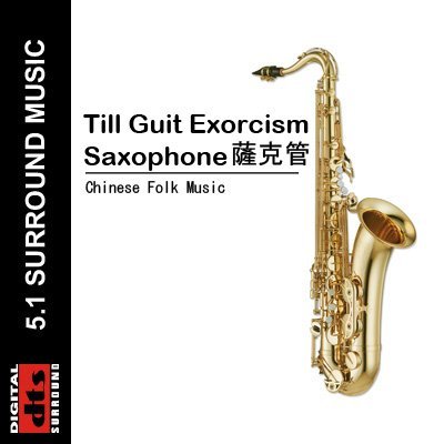 VA - Till Guit Exorcism (Saxophone) (2004) DTS 5.1