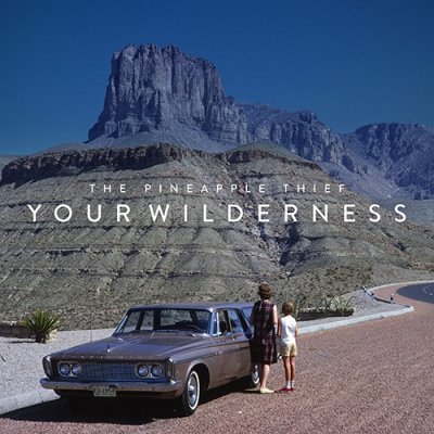 The Pineapple Thief - Your Wilderness (2016) DVD-Audio