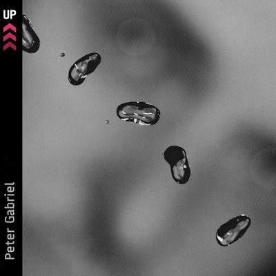 Peter Gabriel - Up (2002) DVD-Audio