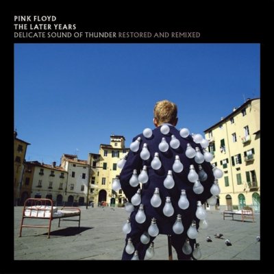 Pink Floyd - Delicate Sound of Thunder (2019) DTS 5.1